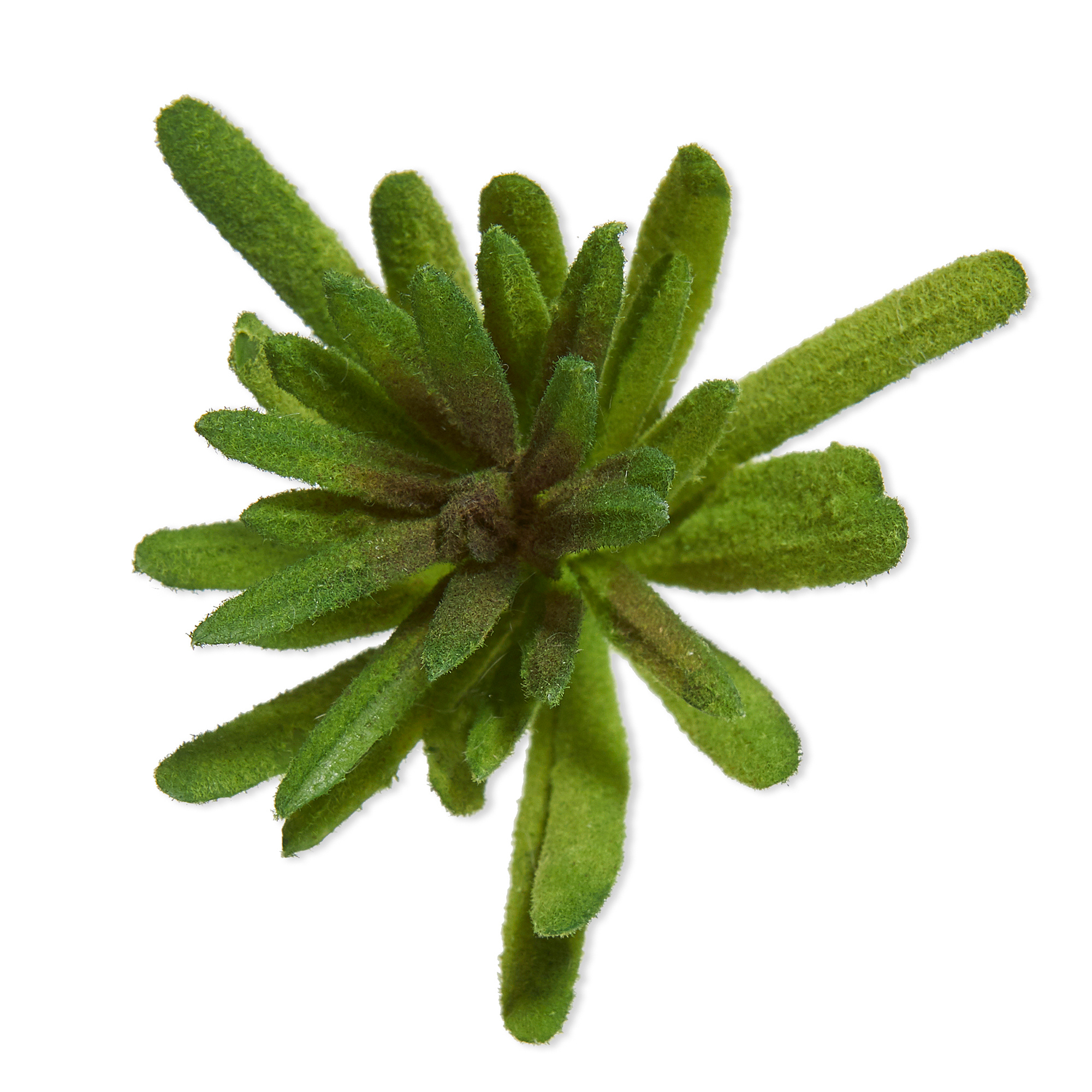 Mainstays Artificial Succulent Pick 2.5 inch x 6 inch Green With Spike Leaves
