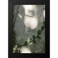 thumbnail image 2 of 1x Studio III 13x18 Black Modern Framed Museum Art Print Titled - Wall-climbing plant, 2 of 5
