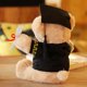 thumbnail image 4 of ours En Peluche Avec Lunettes-25 Cm, ​​Diplme Et Chapeau De Docteur - Peluche Pour La Remise Des Diplmes, Le Lyce Ou L'universit, 4 of 5
