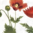 thumbnail image 3 of Serviette en Papier Colorée (Fleur de Coquelicot), 3 of 3