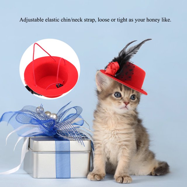 Gorras para mascotas, moda, perros, gatos, sombreros, gorra para perros, sombrero para gatos, rendimiento inigualable