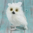 thumbnail image 4 of DOLITY 2Pcs Mini Artificial Owl, Furry Realistic Imitation Taxidermy Home Garden Desk, 4 of 9