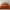 White, variant on Terracotta Queen Comforter Set - 3 Pieces Seersucker Lightweight Bedding Comforter Sets (1 Soft Fluffy Comforter & 2 Pillowcases) - All Seasons Cozy Modern Bed Sets for Women Men