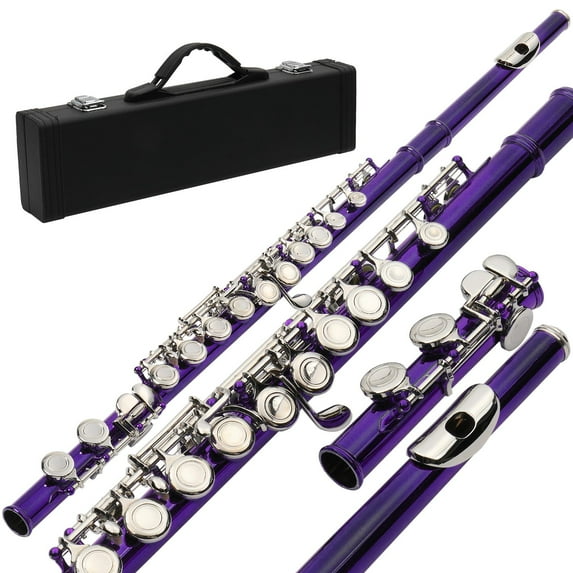 Zimtown 16 Hole C Flute for Student Beginner School Band with Case