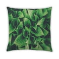 thumbnail image 2 of Ahgly Company Color Focus Green Coussin Décoratif d'Intérieur, 18 Po X 18 Po, 2 of 6