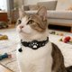thumbnail image 3 of Collar inteligente para gatos con localizador electrónico «Find My», compatible con seguimiento en tiempo real, de silicona, ligero y ajustable para gatos pequeños y medianos, 3 of 4