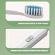thumbnail image 5 of Cepillo de dientes eléctrico recargable para adultos 6600 VPM | 3 cabezales de cepillo | Limpiador dental blanqueador sónico de alta potencia | Alimentado por batería seca | Rosa Blanco Verde, 5 of 8