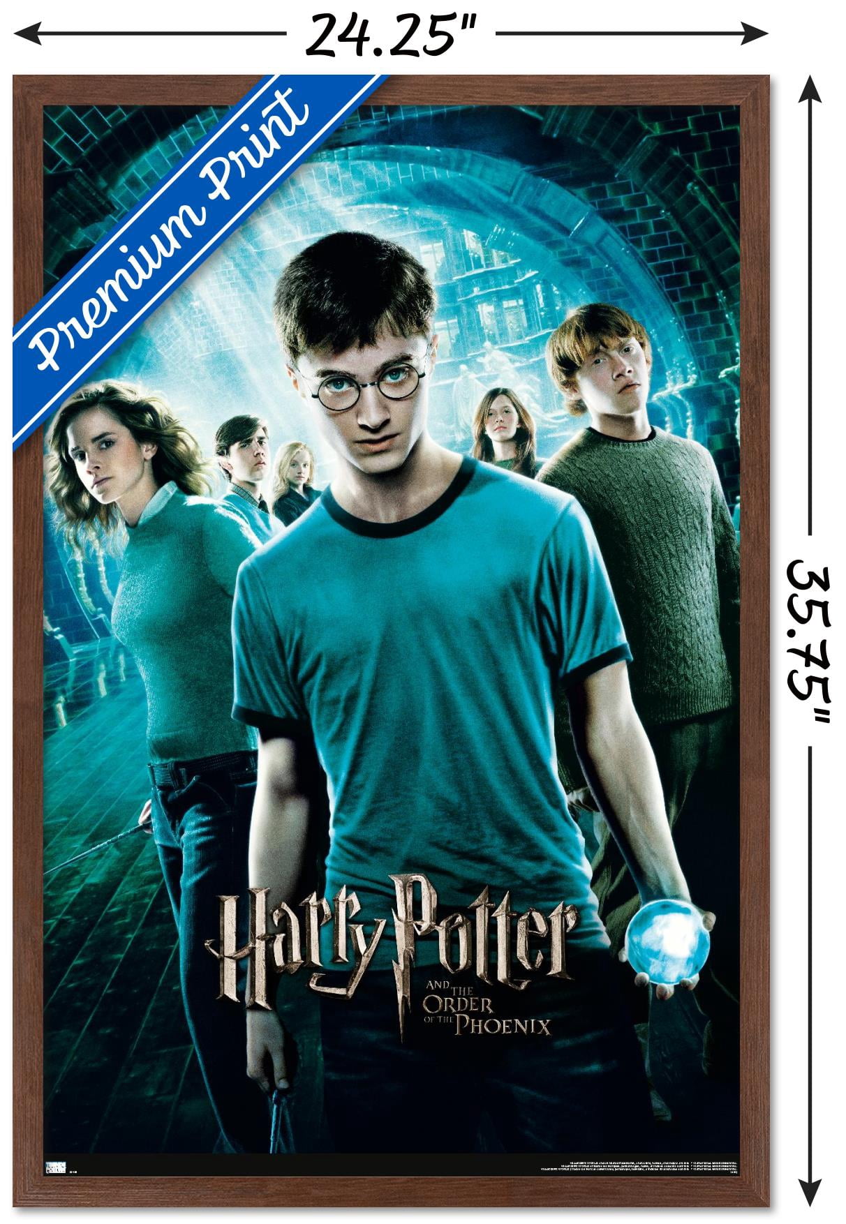 Harry Potter and the Order of the Phoenix - One Sheet Wall Poster, 22.375" x 34" Framed
