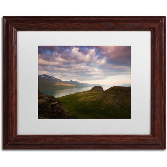 Trademark Fine Art 'Land of Living Skies' Canvas Art by Philippe Sainte-Laudy, White Matte, Wood Frame