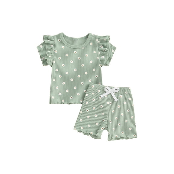 Suealasg Toddler Girl 2 Piece Summer Outfit Short Sleeve Floral Print T-Shirt Tops Elastic Waist Shorts 6M 1T 2T 3T 4T Kids Baby Girls Casual Clothes