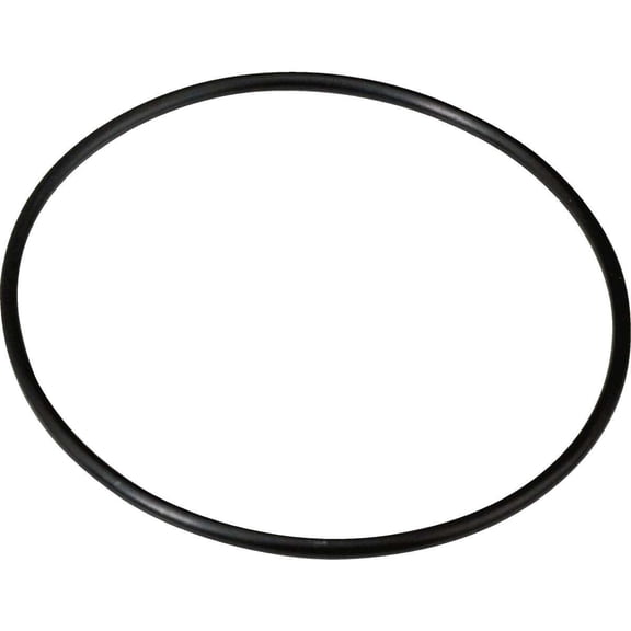 Culligan 216902 0.75 in. Housing O Ring
