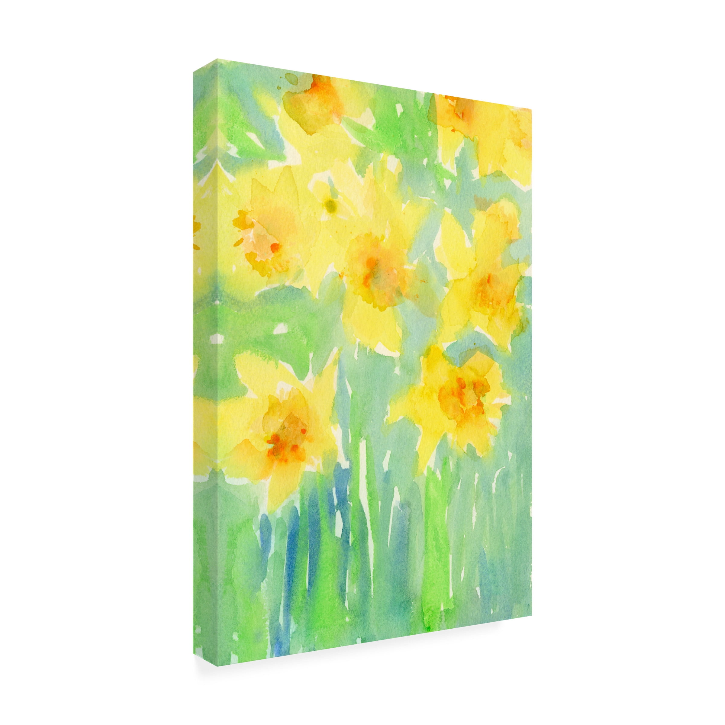 Samuel Dixon 'Daffodils II' Canvas Art