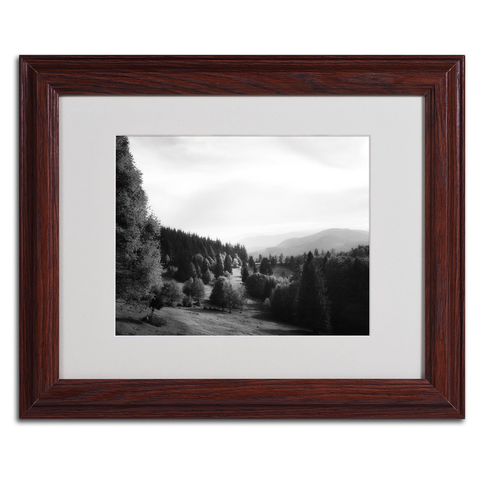 Trademark Fine Art "Spotlight" Canvas Art by Philippe Sainte-Laudy, Wood Frame