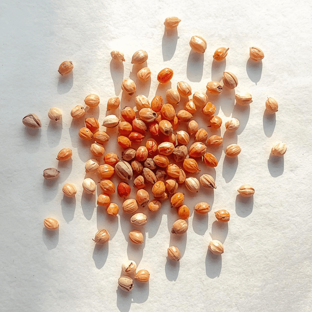 30 Strawberry Tree Seeds - Arbutus unedo - Non-GMO Seed. Made in USA -  Walmart Business Supplies
