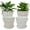 Floral, variant on Printed Plant Pots Diam 4.7/5.4/6.5inch, Set of 3 Modern Decorative Plastic Planters with Drainage Holes and Saucers, Flower Pots for Indoor Outdoor Plants