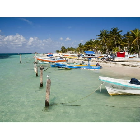 Fishing Boats Tied Up, Isla Mujeres, Quintana Roo, Mexico Print Wall Art By Julie