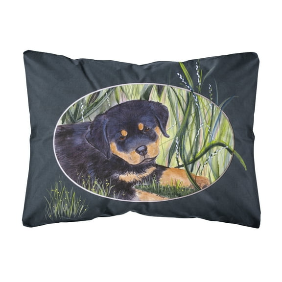 Caroline's Treasures SS8053PW1216 Rottweiler Decorative   Canvas Fabric Pillow, 12H x16W, multicolor