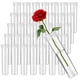 thumbnail image 1 of 100 Uds. Tubos de agua florales, tubos de agua con tallo de flores, tubos de agua para flores frescas, suministros para arreglos florales, 1 of 6
