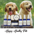 thumbnail image 7 of Isabella's Clearly TEETH & GUMS, Natural Toothpaste for Dogs For Bad Breath, Tartar, Teeth Whitening | Leave On Tooth Powder, Tasty Cinnamon Flavor with Coconut and Kelp | Vegan, Made in USA, 7 of 7