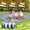 Blue White, variant on Picnic Blanket 100''x80'' Waterproof Sandproof Beach Outdoor Camping Mat Extra Large Foldable Gingham Big Travel Essential Accessories Gift Park Patio Lawn Garden Grass Ground Music Festival