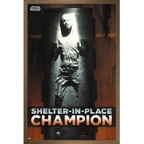 Star Wars: Saga - Han Solo - Shelter In Place Wall Poster, 14.725" x 22.375", Framed