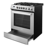 30 in. Nebula Collection 5.0 cu. ft. 5 burner Gas Range in Stainless Steel