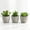 3, variant on mirlewaiy Potted Faux Succulents, 3 Pack Decorative Artificial Cactus Plants