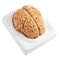 thumbnail image 2 of Modelo De Cerebro, Modelo De Arterias Cerebrales, Modelo De Cerebro Anatómico, Modelo De Cerebro Humano, Cerebro Humano De 8 Partes Para Exhibición De Estudio De Aula De Ciencia,, 2 of 7