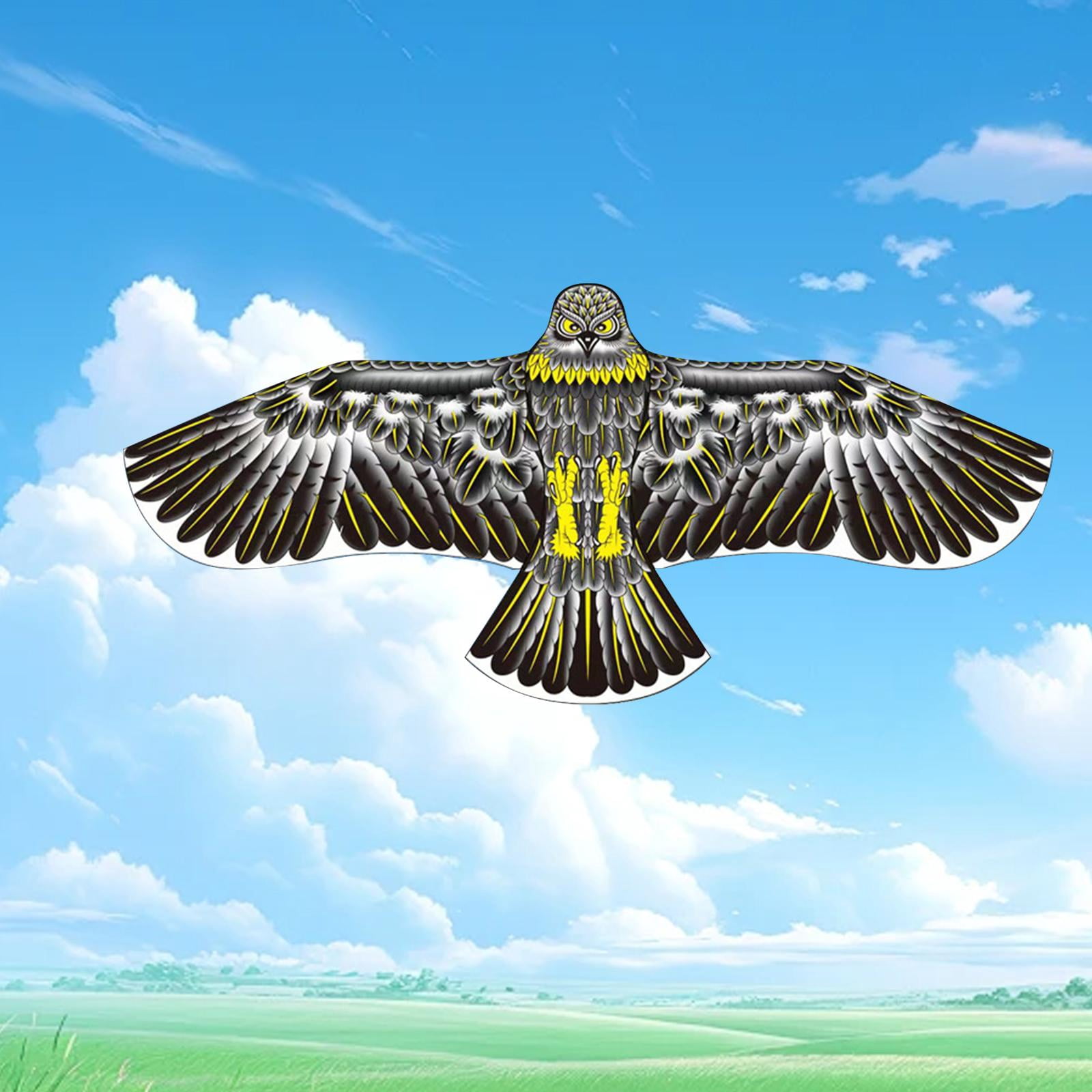 LeeQinersw Birds Kite Single Line Kite Fun 160cm Long Flying Kite Toy Outdoor Toys for Yard Eagle Shape Black