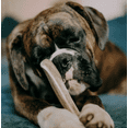 thumbnail image 6 of Paw Love Naturally Shed Split Elk Antler Dog Treat, (1 Pack), 6 of 7