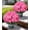 Pink, variant on Geraniums Artificial Flowers for Outdoors, 2 Pack Potted Plants Faux Geraniums Bush Artificial Topiaries Realistic UV Resistant Fake Flowers Greenery for Outside Gardens Porch Patio Yard Indoor, Mix