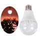 thumbnail image 5 of LED crecer luces para plantas de interior, completo, bombillas de de 12 vatios, bombillas de planta para semillas y verduras Número 6 Soledad plantas de luz creciente, 5 of 10