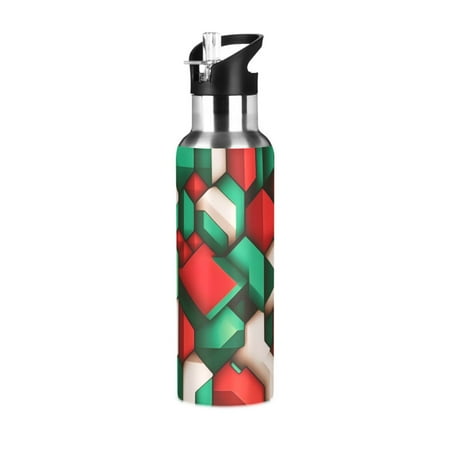 

ALAZA Geometric Art Pattern Water Bottle Insulated Flask Stainless Steel Straw Lid 20 oz