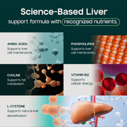 Liverite Liver Aid 90 Tablets -Advanced Liver Support with 17 Amino Acids, Choline and Phospholipids, Supports Healthy Liver Function and Metabolism, Natural Cleansing and Digestion.