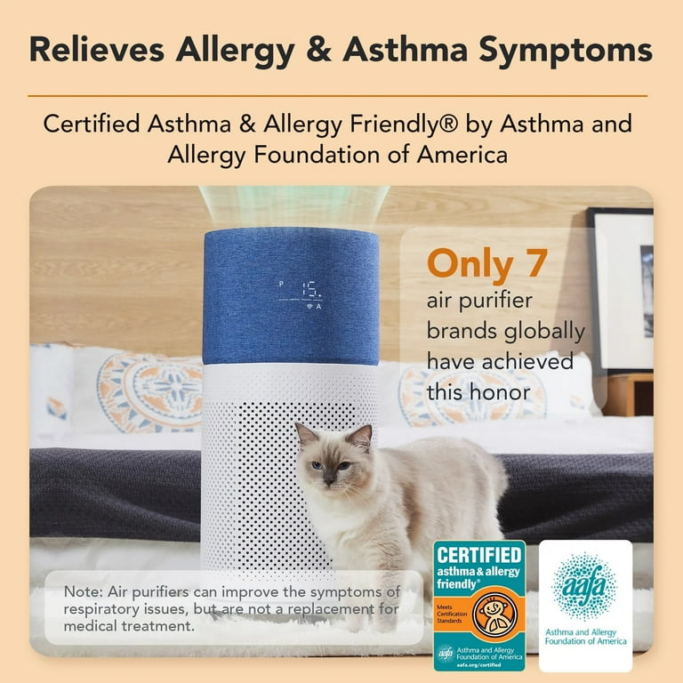 Air Purifier With App Control Issues: Troubleshooting Guide