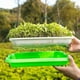 thumbnail image 3 of 3 macetas de plantación de trigo hidropónico, bandeja de plantación de brotes de doble capa (rosa) Afortunado Sencillez, 3 of 5