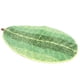 thumbnail image 3 of Felpudo para puerta, tapete en forma de hoja, tapete antideslizante, tapete para baño, resistente y resistente, 3 of 8