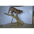 thumbnail image 3 of Nifao Mountain Lion Bronze Statue – Garden Outdoor Decor Sculpture, 73"L x 41"W x 65"H, 3 of 11