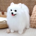 thumbnail image 4 of Juguetes para piscina, juguetes para bebés y niños pequeños. Muñeco realista de perro pomerania: peluche súper suave., 4 of 5