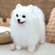 thumbnail image 4 of Juguetes de piscina, juguetes para bebés, juguetes para niños pequeños, muñeco de perro Pomerania realista - Juguete súper suave, muñeco de perro Pomerania realista de peluche, 4 of 5