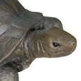 thumbnail image 4 of Walking Turtle Statue,  29.5" L Tortoise Concrete Garden Statue for Indoor or Outdoor Décor, 4 of 9