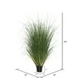 thumbnail image 5 of Vickerman 36" Artificial Potted Green Curled Grass., 5 of 7