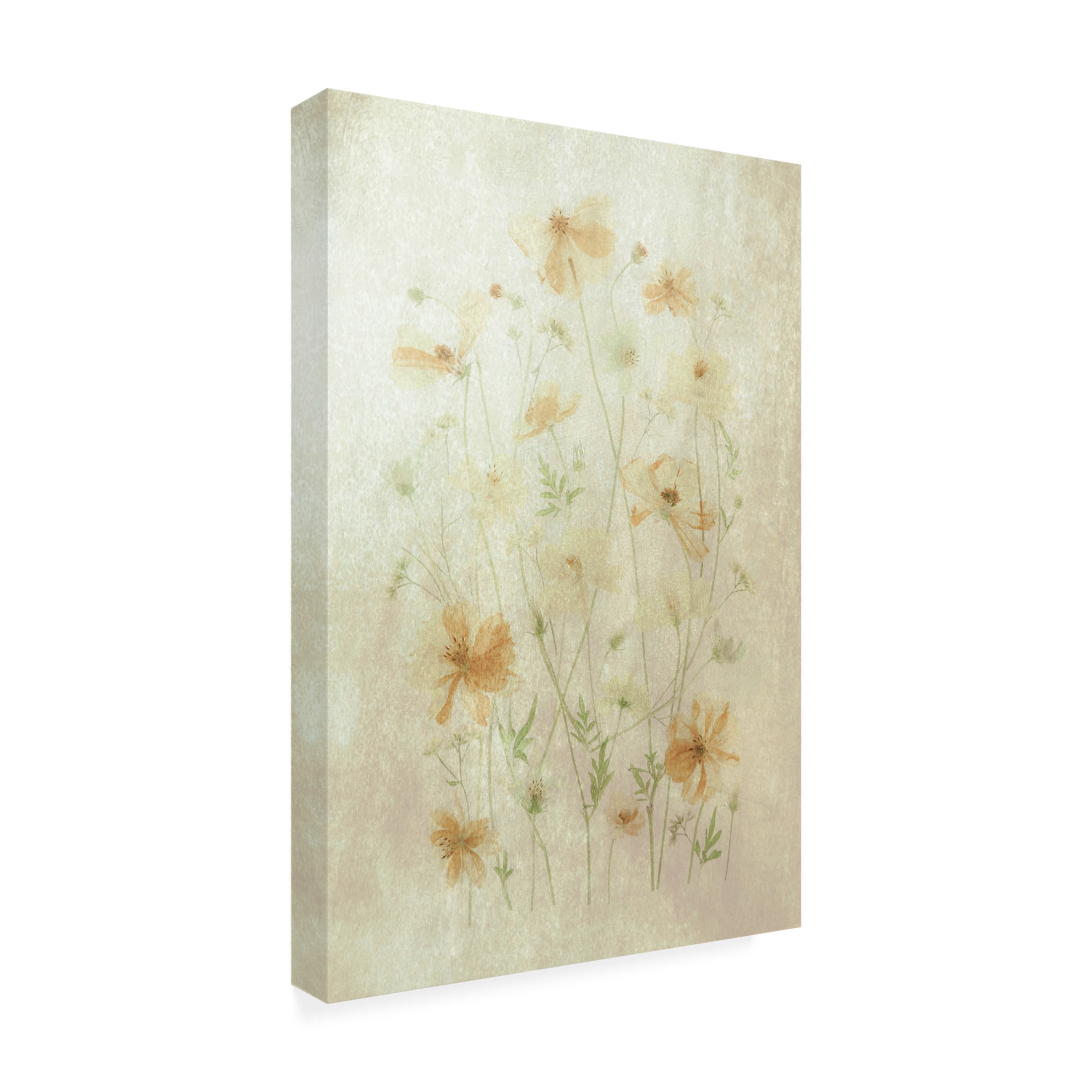 Canvas Wall Art - Fangping Zhou 'Yellow Cosmos' Wall Art for Living Room, Bedroom, or Office Décor by Trademark Fine Art - 12 x 19 Inches