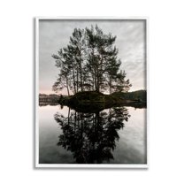 Stupell Industries Tree on Lake Landscape Nature Photography White Framed Art Print Wall Art, 11 x 14