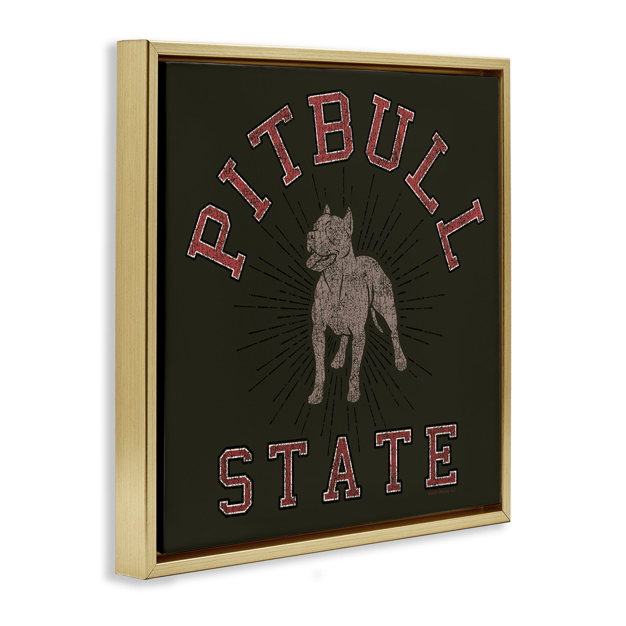 Stupell Industries Vintage Pitbull State Novelty & Humor Painting Gold Floater Framed Canvas Art Print Wall Art, 18 x 18