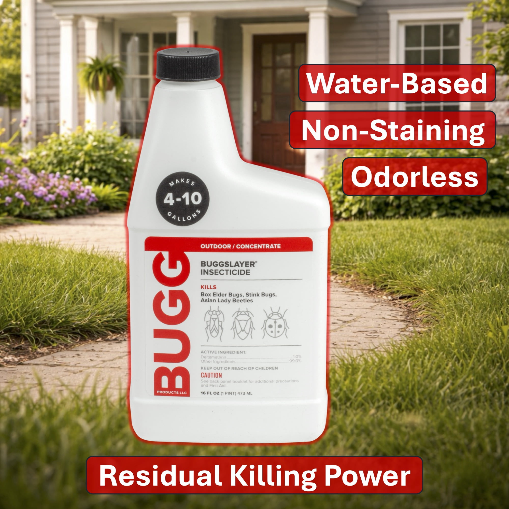 BUGGSLAYER Insecticide - Concentrate - Outdoor Box Elder Bugs, Stink Bugs, Asian Lady Beetles - 16 oz Bottle