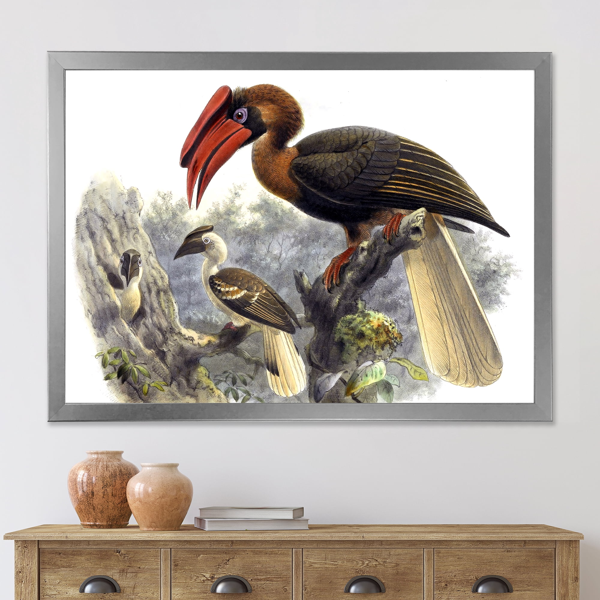 Designart 'Ancient Australian Birds XI' Traditional Framed Art Print