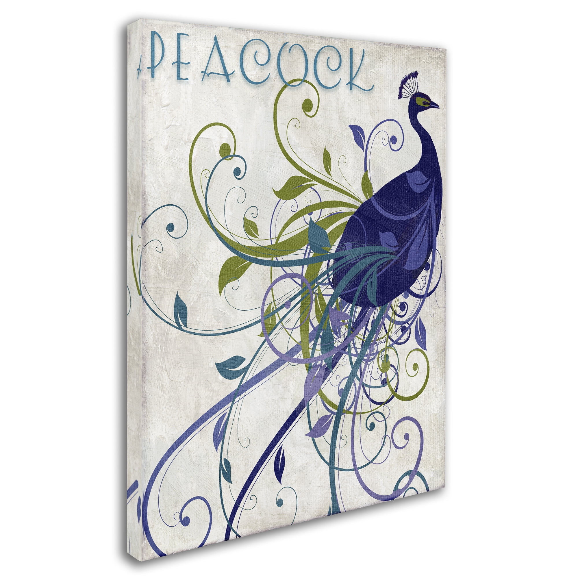 Trademark Fine Art "Peacock Nouveau I" Canvas Art by Color Bakery