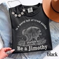 thumbnail image 4 of Be a Jimothy Shirt – Funny Raccoon Trash Panda Tee, Vintage Pacific Northwest Wildlife Graphic, 4 of 5