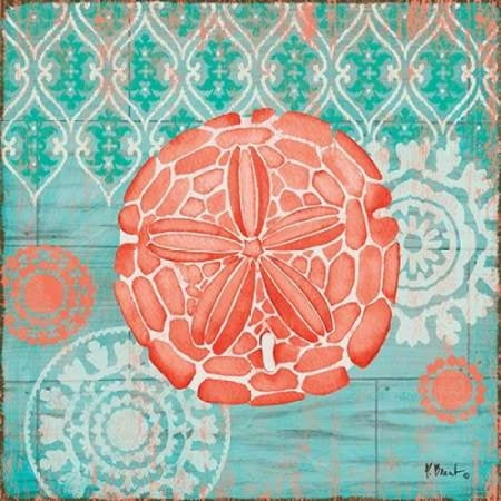 24 Coral Shell - Coral Cove Shells IV Stretched Canvas - Paul Brent (24 x 24)